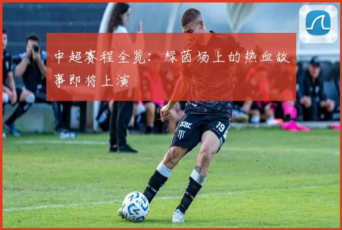 中超赛程全览：绿茵场上的热血故事即将上演